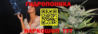 мяу мяу кристалл Сланцы