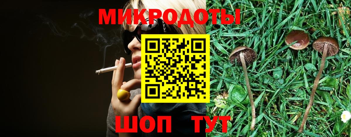 Нальчик  Галлюциногенные грибы прущие грибы  Вход с VPN  Псилоцибиновые грибы Psilocybe 